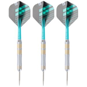 Target Rob Cross Voltage Steeldart