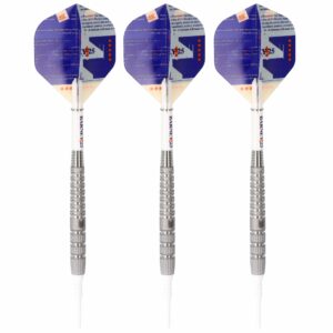 Target Raymond van Barneveld Softdart