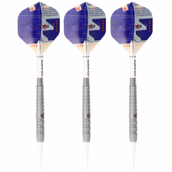 Target Raymond van Barneveld Softdart