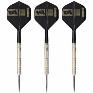 Target Dimitri van den Bergh 95K Steeldart